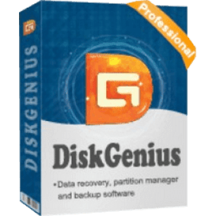 DiskGenius Professional 5.4.3.1342 Crack Full Version 2022 Download