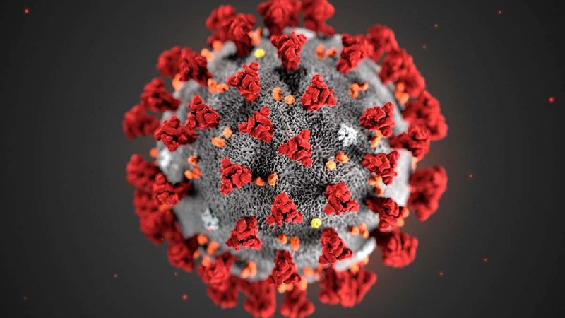 Coronavirus vaccine Crack Update 2020 {Latest} Here