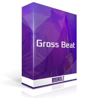 Image-Line Gross Beat v1.0.7 VST Full Version [WinOS] Free