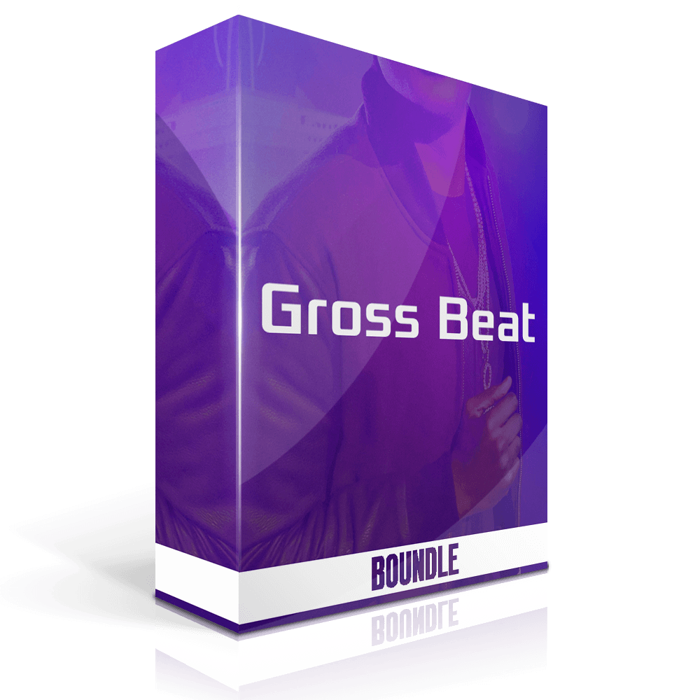 Image-Line Gross Beat v1.0.7 VST Full Version [WinOS] Free